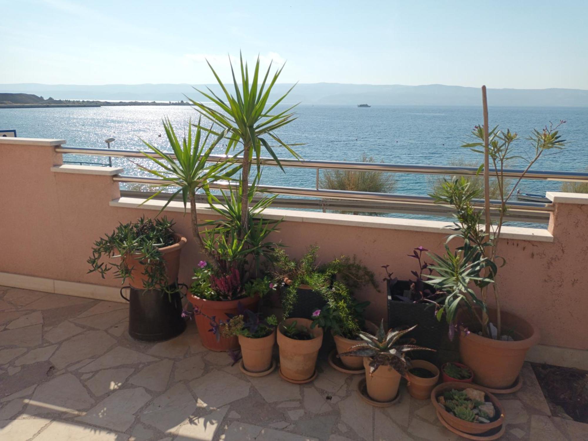 Cici Apartment Dugi Rat Luaran gambar